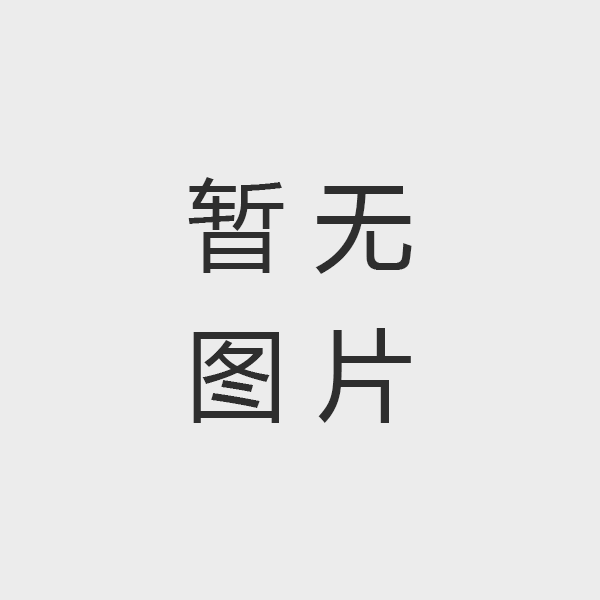 广州刘强汽车金融服务有限公司党支部